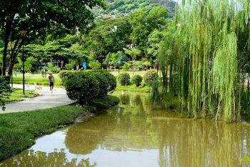 Parque Municipal Horto de Maruípe