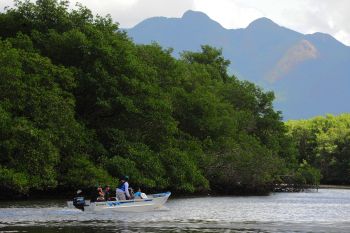 Ação Integrada em Defesa do Caranguejo-Uçá em Maria Ortiz