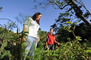 Oficina de Plantas Medicinais no Parque Municipal de Tabuazeiro