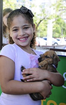 Julia, 6 anos, adota a Princezinha na feira de adoção de cães na Praça dos Namorados