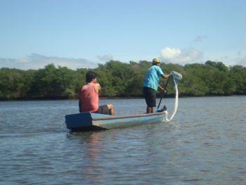 Narradores da Maré