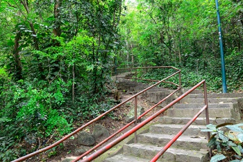 Mutirão de Serviços no Parque Gruta da Onça