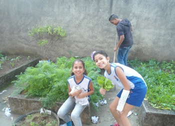Projeto Plantando tudo dá Emef Sysesmundo