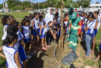 Plantio de árvores na Praça do Papa