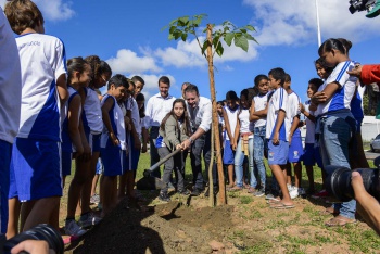 Plantio de árvores na Praça do Papa