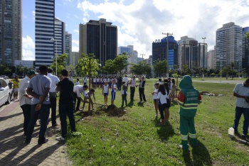 Plantio de árvores na Praça do Papa