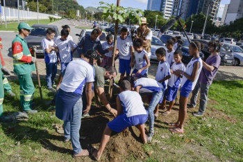 Plantio de árvores na Praça do Papa