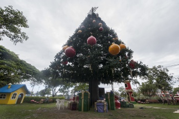 Árvore de Natal na Praça dos namorados