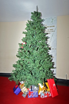 Árvore de Natal na PMV
