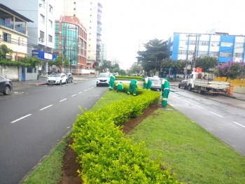 Poda e paisagismo