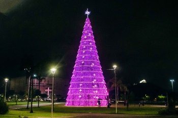 Árvore de Natal iluminada na Praça do Papa