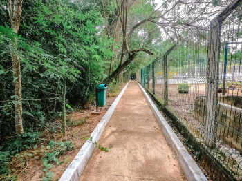 Parque da Fonte Grande - Trilha e Mata Atlântica