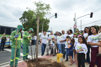 Plantio de mudas de árvores no programa de parceria Vix Flora e MedSênior na ILha do Príncipe