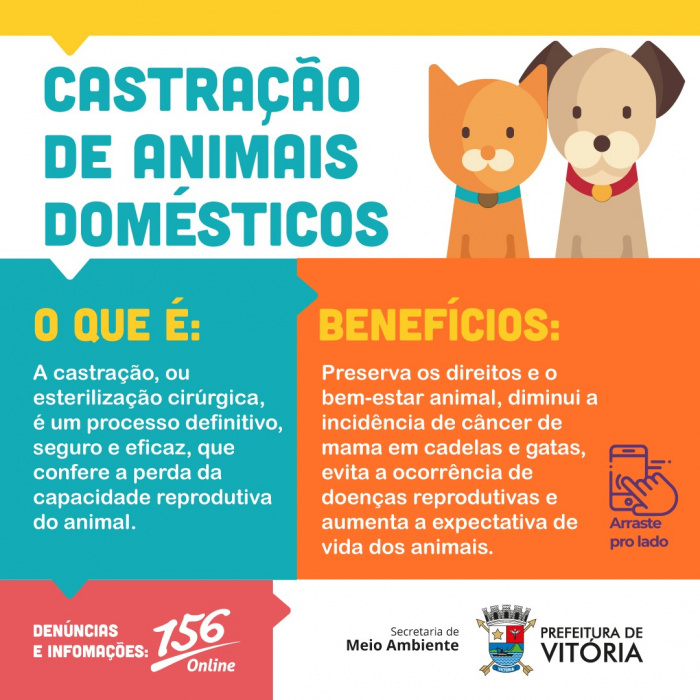 Campanha para castração animal