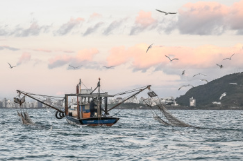 Operação Náutica de Fiscalização de Embarcações de Pesca