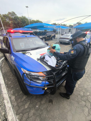 Guarda de Vitória e Polícia Civil prendem quadrilha