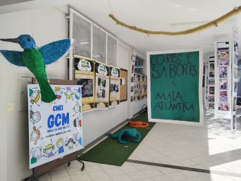 Crianças do CMEI Geisla da Cruz Militão vivenciam educação ambiental