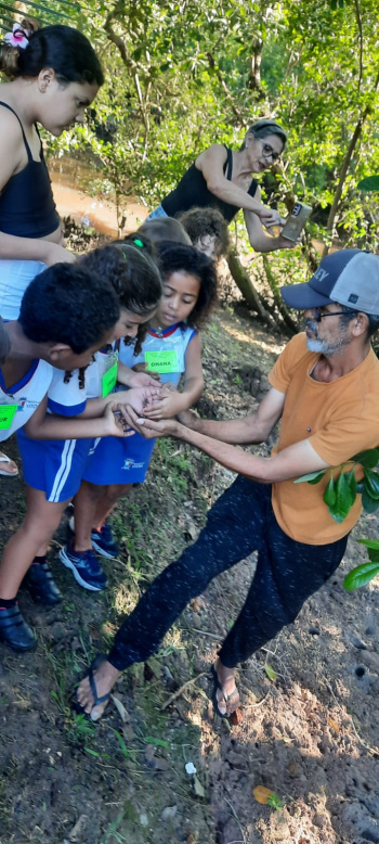 Crianças do CMEI Darcy Castello de Mendonça fazem caminhada educativa até o manguezal