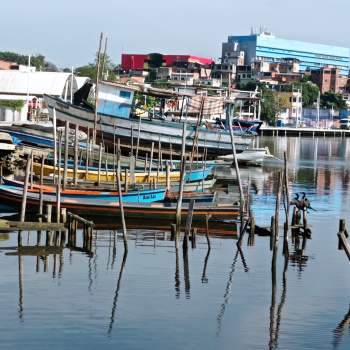 Crianças do CMEI Magnólia Cunha registram os encantos da Ilha das Caieiras por meio da fotografia
