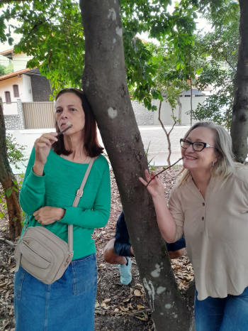 Formação com educadoras da EMEF Marieta Escobar sobre ecossistema da restinga