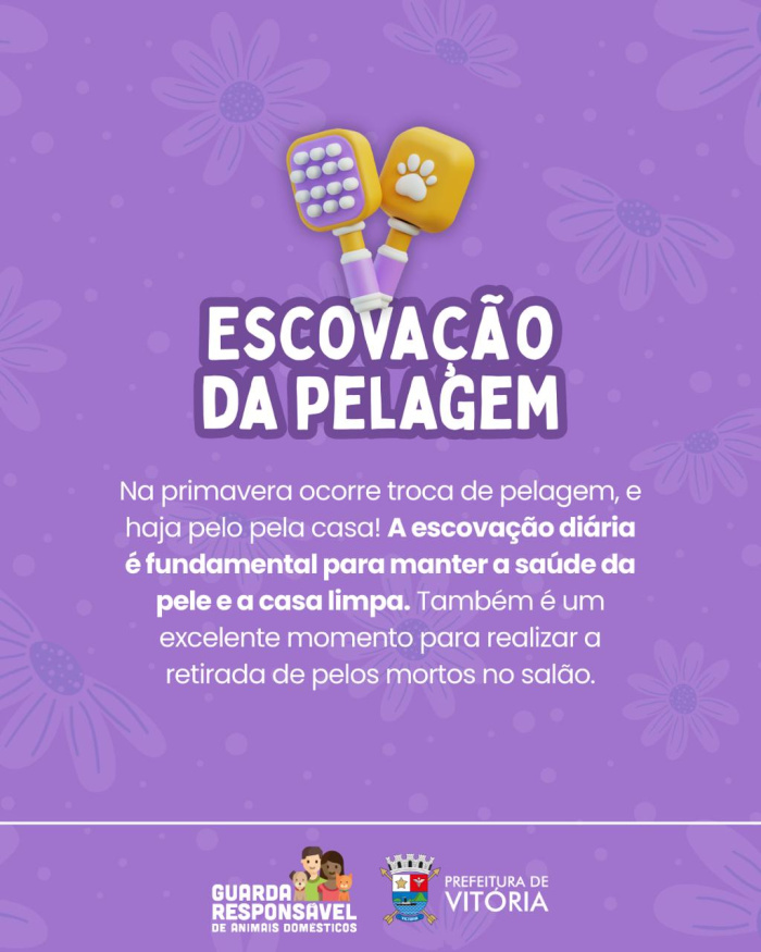 Campanha de primavera sobre cuidados com os pets