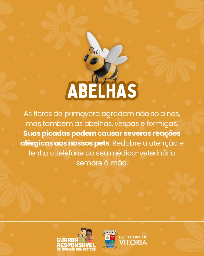 Campanha de primavera sobre cuidados com os pets