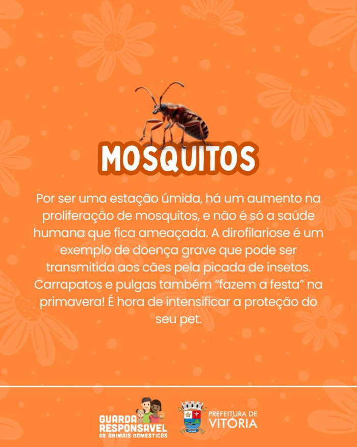 Campanha de primavera sobre cuidados com os pets