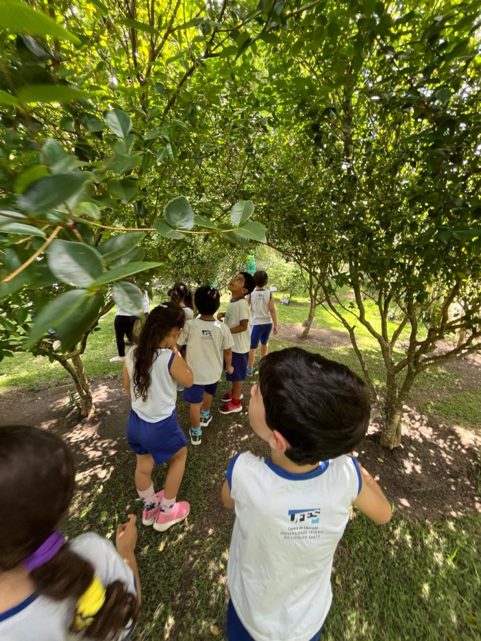 Jovens exploram Mata Paludosa e aprendem sobre justiça ambiental em vivência formativa