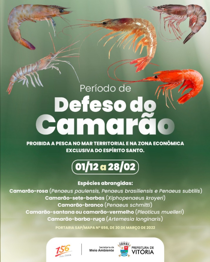 Defeso do Camarão 2025