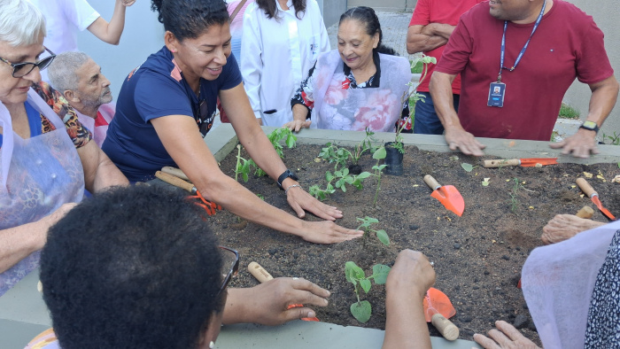 Vitória implanta novo Jardim Terapêutico no CRAI