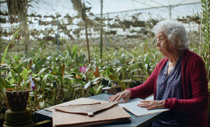 A história acompanha Lúcia, que encontra refúgio em um belo orquidário.