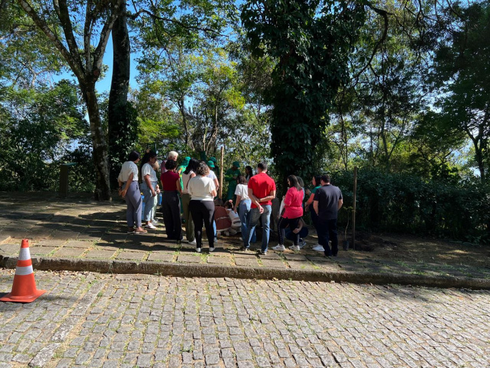 Plantio de ipês-amarelos reforça educação ambiental na Fonte Grande