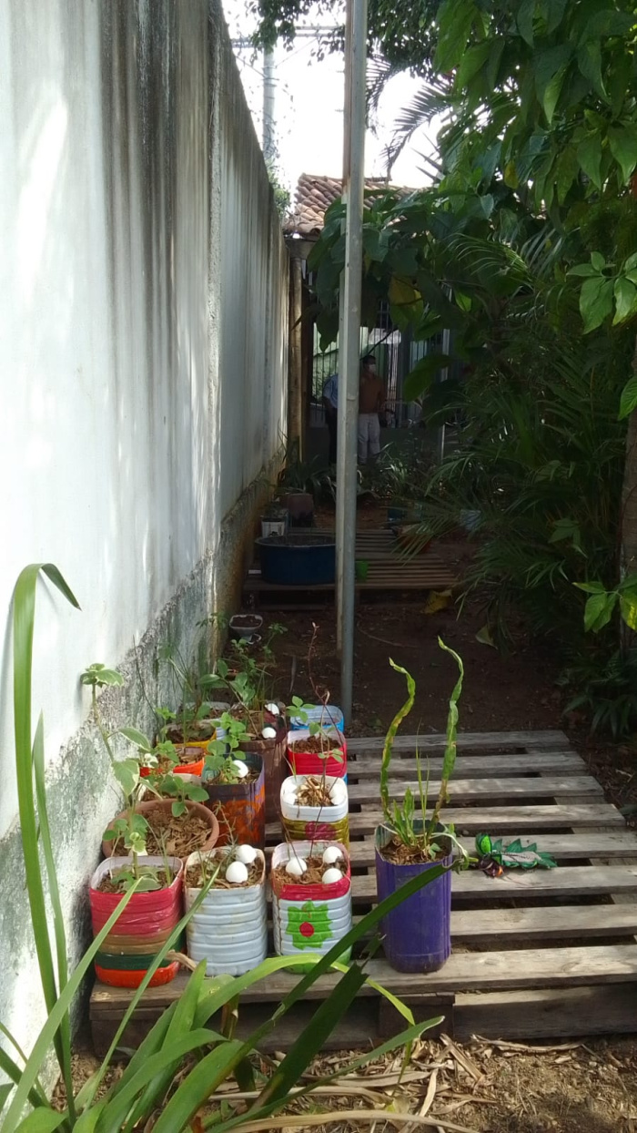 Horta Comunitária do Centro Pop