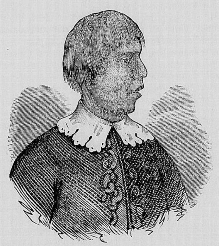 Arariboia, litografia publicada em 1866 na Coleção Brazil Histórico. Biblioteca Nacional
