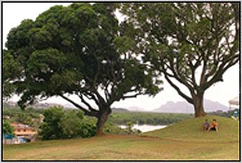 Parque de Mangue Seco