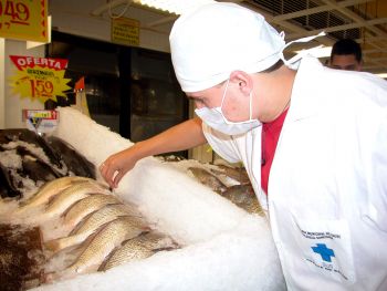 Fiscalização da vigilância Sanitária em Peixarias