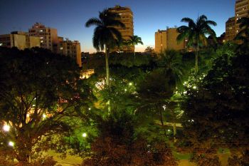 Árvores no Parque Moscoso
