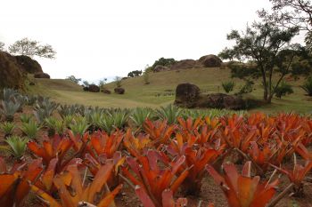 Parque de Barreiros