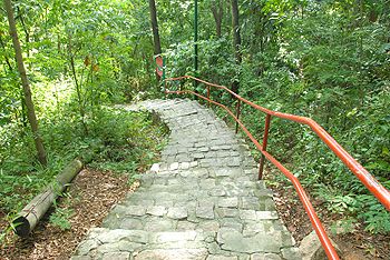 Parque da Gruta da Onça