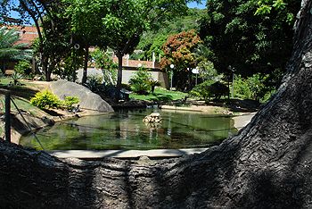 Parque de Tabuazeiro