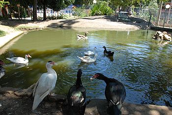Parque de Tabuazeiro