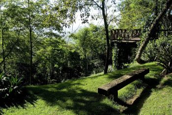 Vista do Parque da Fonte Grande