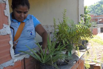 Mutirão contra dengue no bairro Santo André