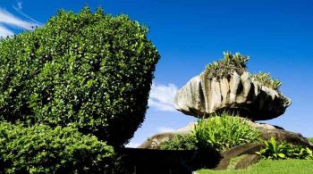 Parque Pedra da Cebola