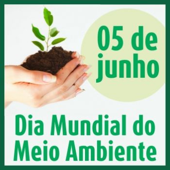 selo para matéria sobre o dia mundial do meio ambiente