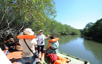 Visita técnica no Mangue