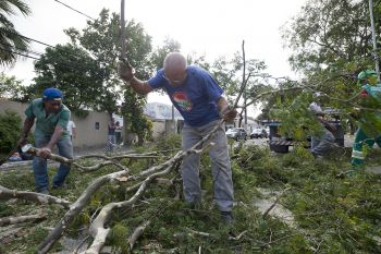 Ventania derruba árvores em Vitória exigindo ação rápida da SEMSE