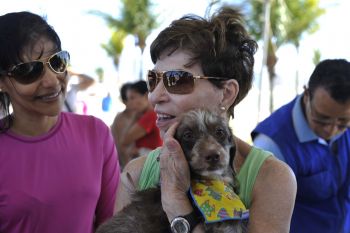 Feira de Adoção de Cães e Gatos