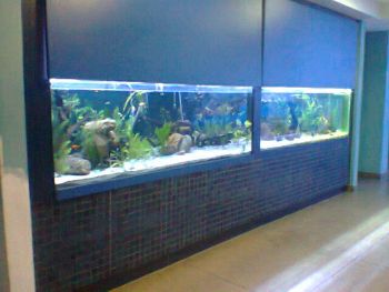 Aquários da Escola de Ciência-Biologia e História