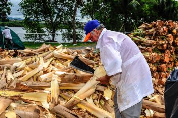 Venda de Palmito no Sambão